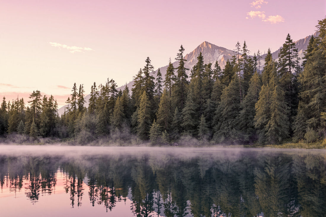 Les extraits enrichis d'avis : guide complet pour afficher vos étoiles dans les résultats